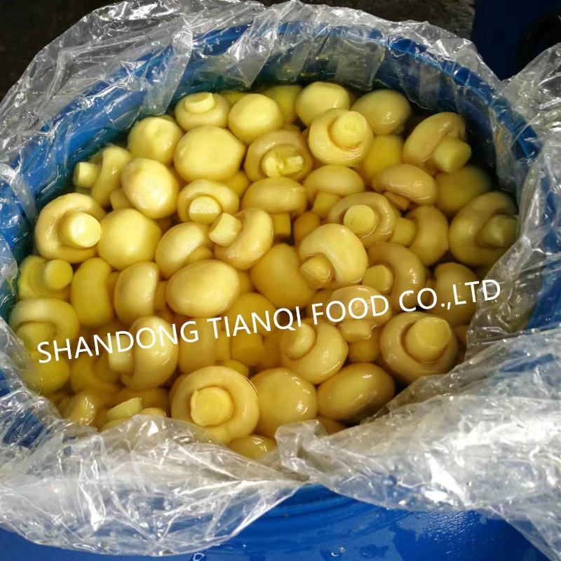 Good quality white mushroom in barrel Good quality white mushroom in barrel