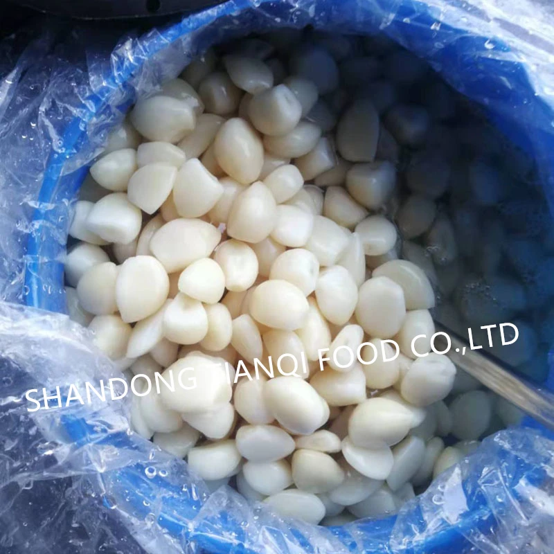 Garlic in salty water in drums Garlic in salty water in drums