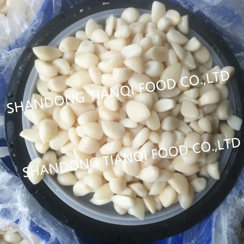 Salted peeled white Garlic in brine in drums Salted peeled white Garlic in brine in drums