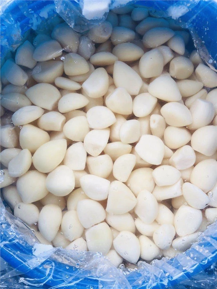 High quality marinated white garlic cloves in brine in drums