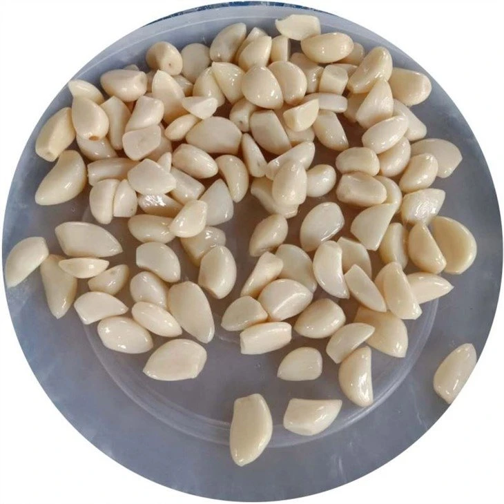 Wholesale Peeled white garlic in drums