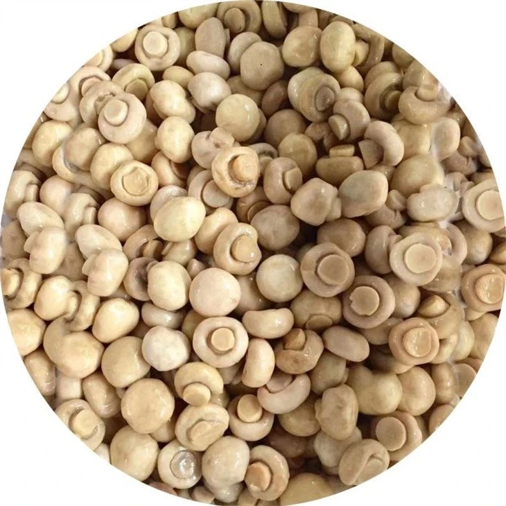 Whole white mushroom in salted water in barrel 50kgs