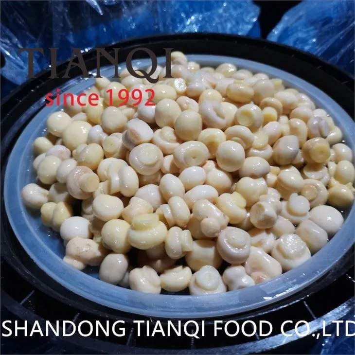 High quality whole mushroom in drums