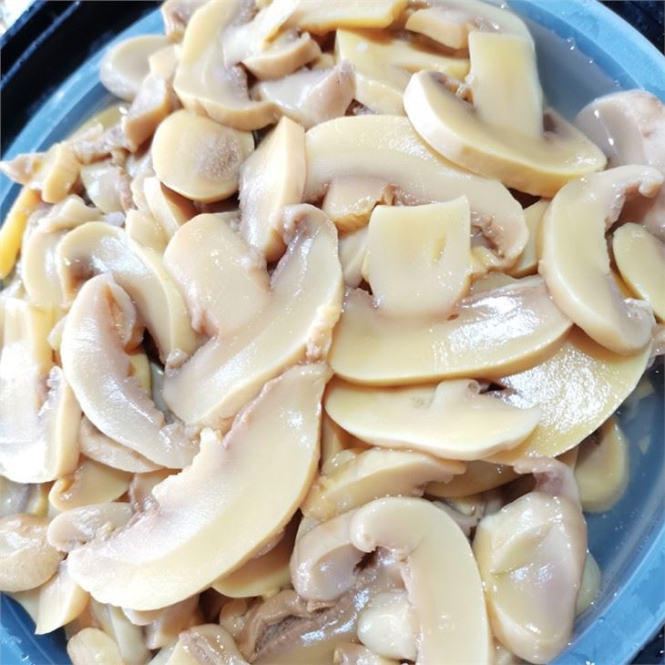 Preserved salted white button mushroom in drums