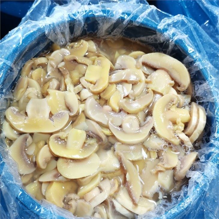 PNS cultivated white mushroom in brine in drums