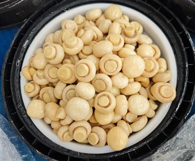 Білий гриб в розсолі в бочках